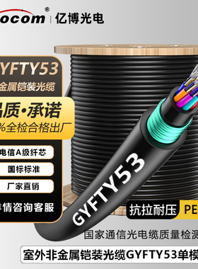 亿博（Ebocom）GYFTY53非金属铠装室外单模光缆 国标室外重铠单模光缆 架空直地埋单模层绞式光缆光纤线