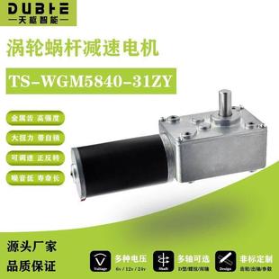 5840 31ZY涡轮蜗杆直流减速电机12v24调速自锁齿轮大扭矩双轴马达