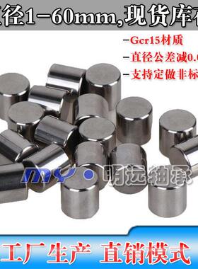 定位销圆柱销滚柱直径10mm10*18/19/20/21/22/23/24/25/26/27mm