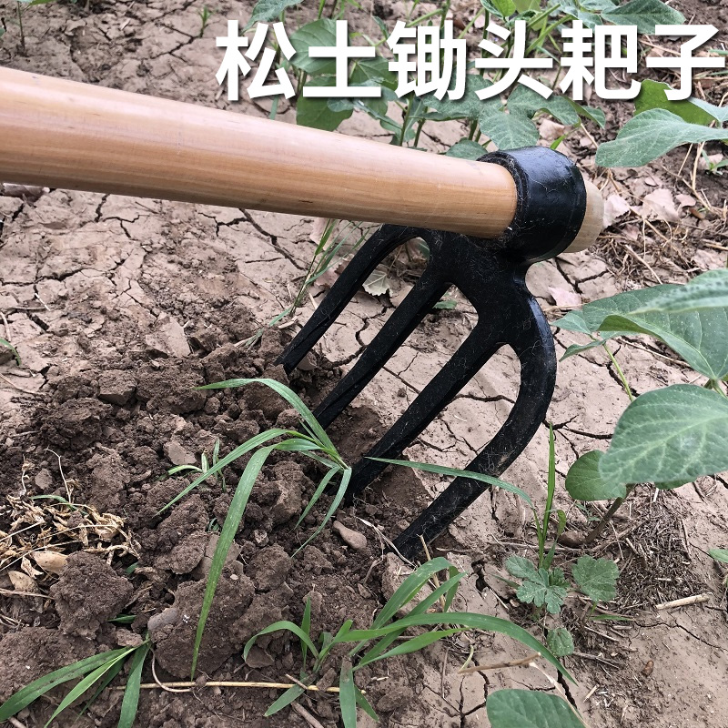 家用耙子松土锄头翻地农用工具三齿加厚叉锄长柄钉耙搂草园艺耙子
