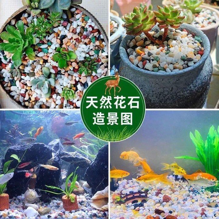 鱼缸底砂造景沙水族箱装饰石头子天然五花石溪流砂龟缸铺底夜光石,宠物/宠物食品及用品,造景/装饰,淘宝优惠券,粉丝福利购,淘宝优惠卷