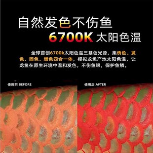 尼奥鱼缸灯雷龙鱼专用灯日光发色灯防水灯LED鱼缸灯金鱼增艳增色