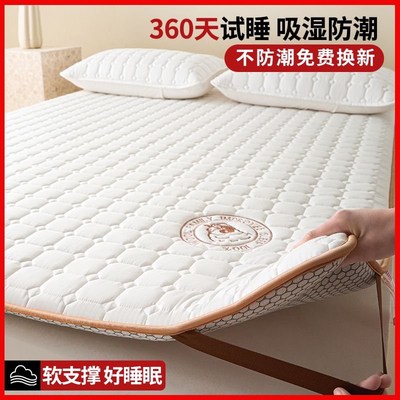 家庭用床垫南方防潮防霉床t褥子垫单人不塌陷不变形被褥铺底可折