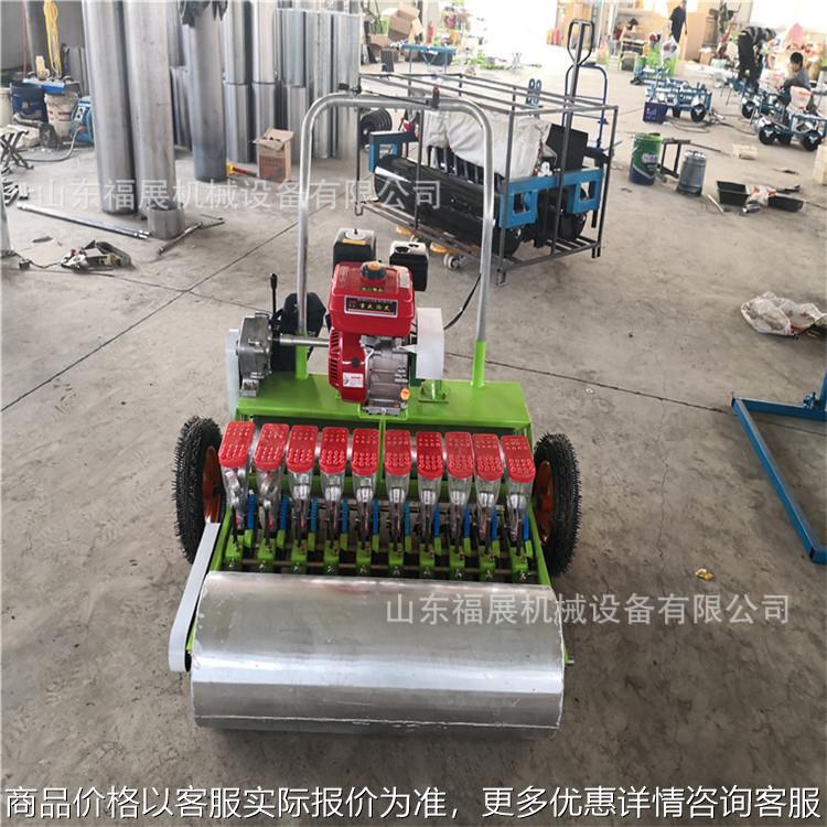 供应广东菜心精播机汽油自走式13行前后双驱动版蔬菜播种机
