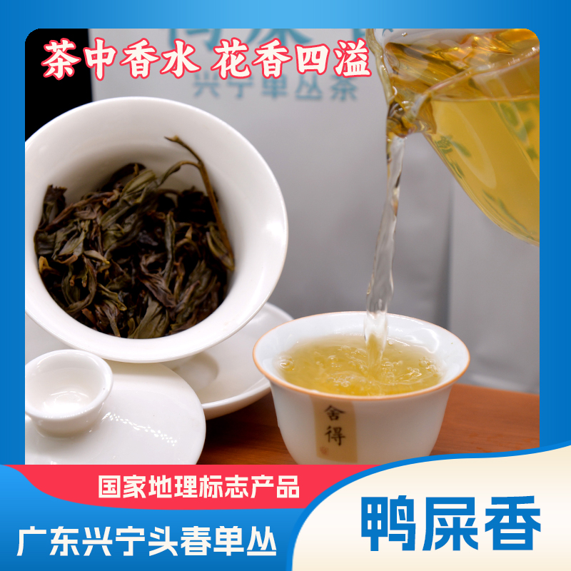 2025年头春鸭屎香兴宁单丛乌龙茶