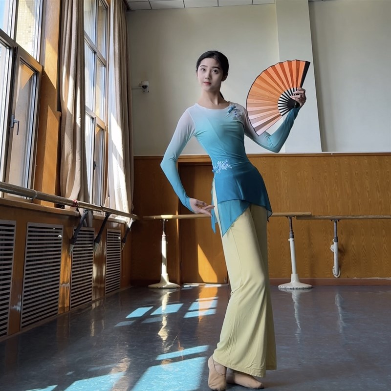 古典舞蹈服装国风身韵练功服女国风渐变纱衣艺考基训服套装成人裤