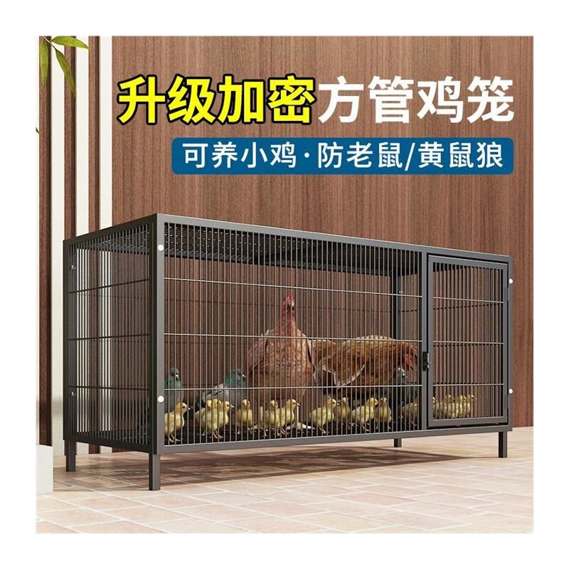 鸡笼子家用加粗大号养殖笼折叠鸭笼鹅笼狗笼自动滚蛋鸡笼厂家直发