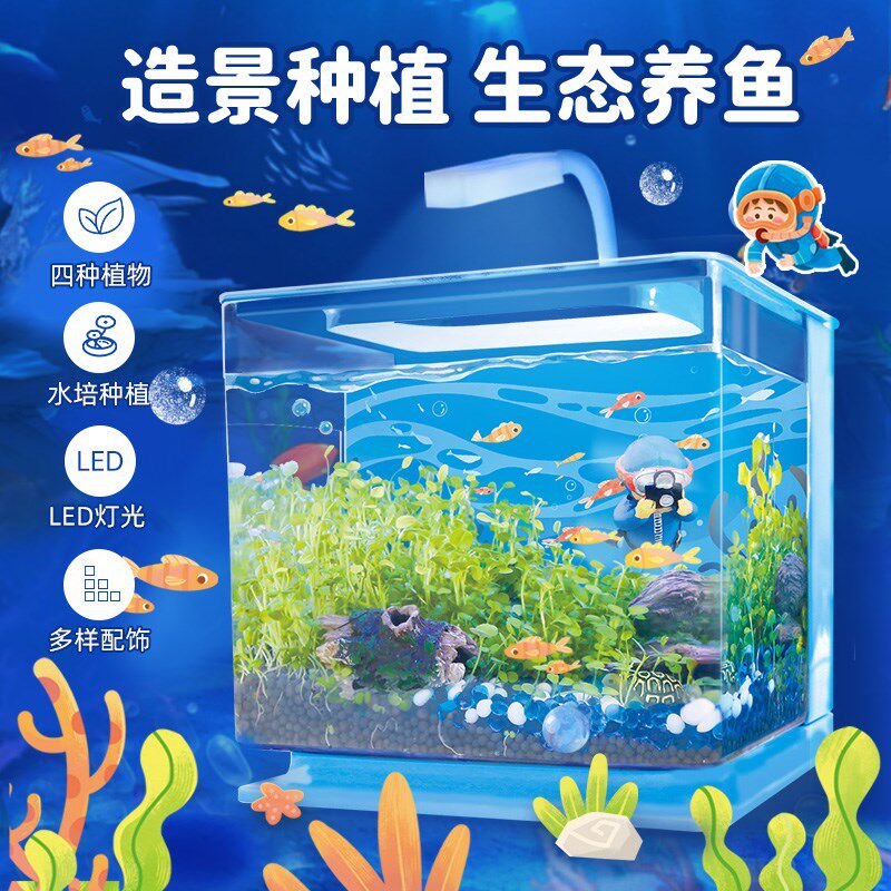 儿童DIY造景生态缸海底秘境可养鱼E种植水草植物观察科学实验玩具