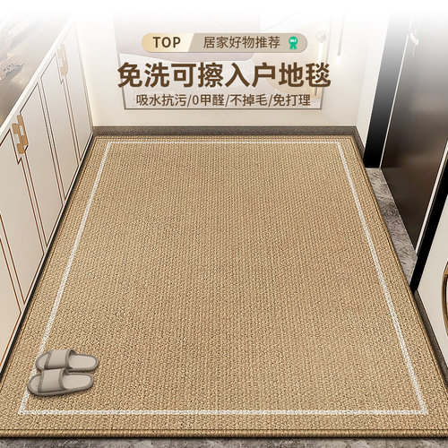 入户门地垫耐脏免洗可擦防滑门垫2024新K款玄关门口脚垫可裁剪地