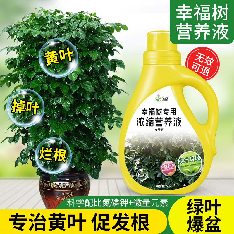 幸福树专用肥料营养液盆栽水培植物室内绿植通用氮磷钾液体水溶肥