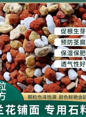 兰花专用护心土护颈土多肉全颗粒铺面石透气植金石火烧土硬珍珠岩