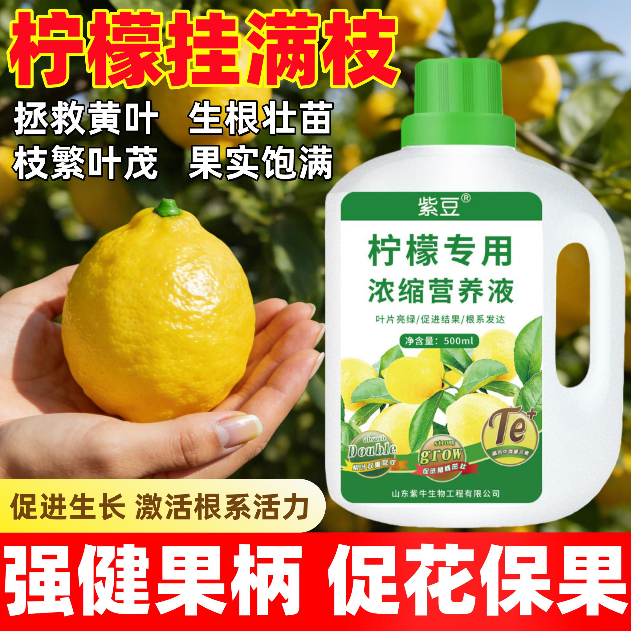 柠檬专用浓缩营养液促进生长柠檬专用有机肥水溶肥促花促果