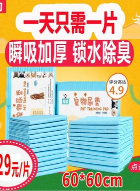 宠物尿垫尿片狗狗诱导垫纸尿垫猫狗兔崽子窝笼吸水垫加厚6060中号