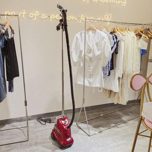 挂烫机2200W大功率手持商家用熨烫衣机挂立式服装店蒸汽熨斗.