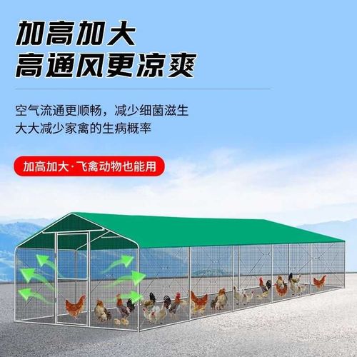 鸡棚遮雨棚骨架鸡舍户外家禽养殖鸡笼子挡风防雨防晒简易搭建鸽笼