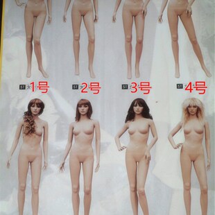 男模特 服装道具 男士全身 女人体 服装模特架 服装男模 塑料模特