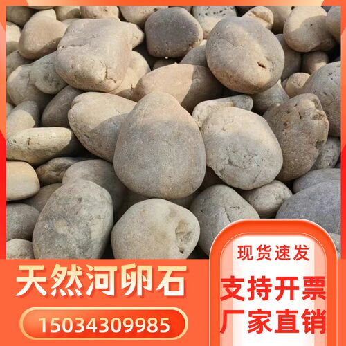贵州河滩石园林i绿化用 河卵石 河卵石 变电站用鹅卵石 鹅卵石滤