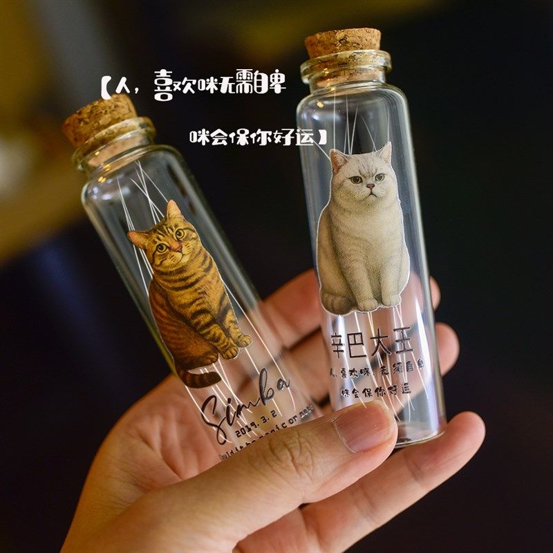 来图定制猫咪胡须许愿瓶收纳幸运瓶宠物毛发收纳纪念保存