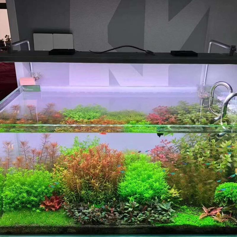 鱼缸灯水陆造景支架灯彩珠 灯盘水草灯吊装大灯盘方灯