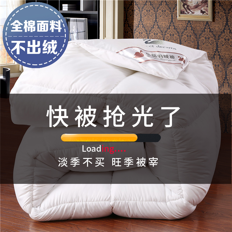 冬季加厚羽绒被95白鹅绒春秋被加厚保暖冬被羽绒被芯单人被双人被