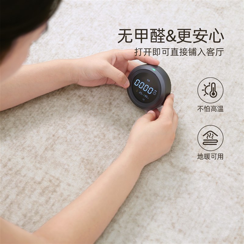 卧室地毯免打理客厅家用床边毯大面积全铺沙发地垫加厚防滑可擦洗