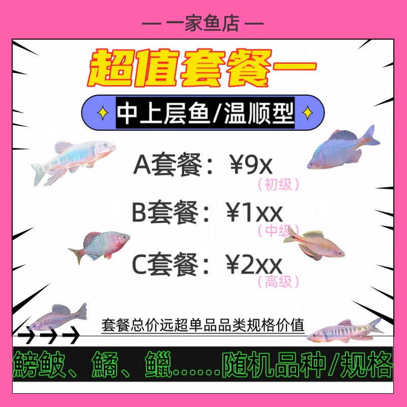 原生好养耐活清洁工具鱼凶猛淡水非养殖冷水鱼鳑鲏虾虎鱼超值套餐