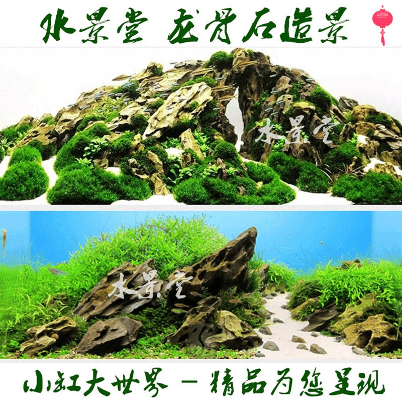 鱼缸装饰 松皮石套餐 过滤海绵鱼缸造景底植草皮绿草坪