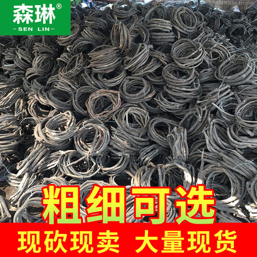 天然树藤装饰缠绕室内仿q真花藤条造景墙角绿植假枯树枝干藤蔓植