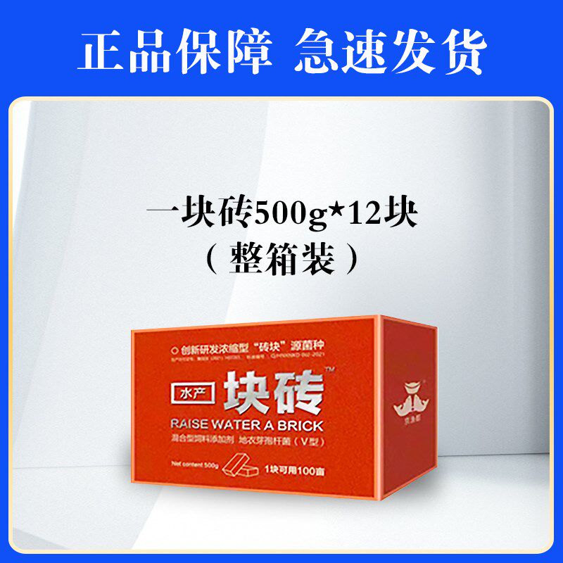 一块砖水产养殖复合乳酸菌枯草芽孢杆菌鱼虾蟹塘EM菌种肥水调