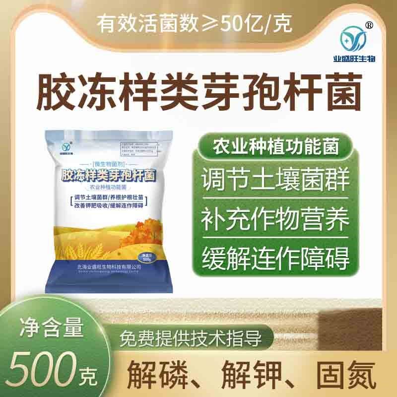 50亿/克胶质芽孢杆菌胶冻样芽孢杆菌硅酸盐细菌活孢子原菌粉新款