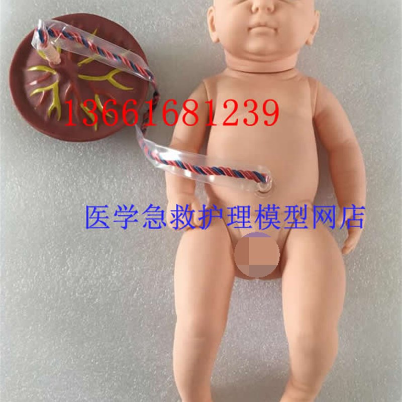 高级新生儿脐g带护理模型 新生儿脐带结扎模拟人护理婴儿人体模型