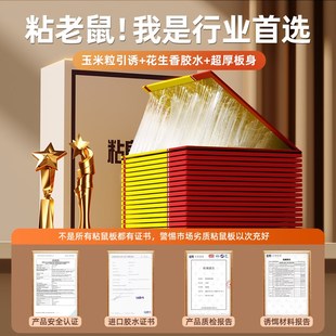 强力老鼠贴粘鼠板家用一窝端抓大老鼠粘鼠胶驱捕捉鼠神器 2025新款