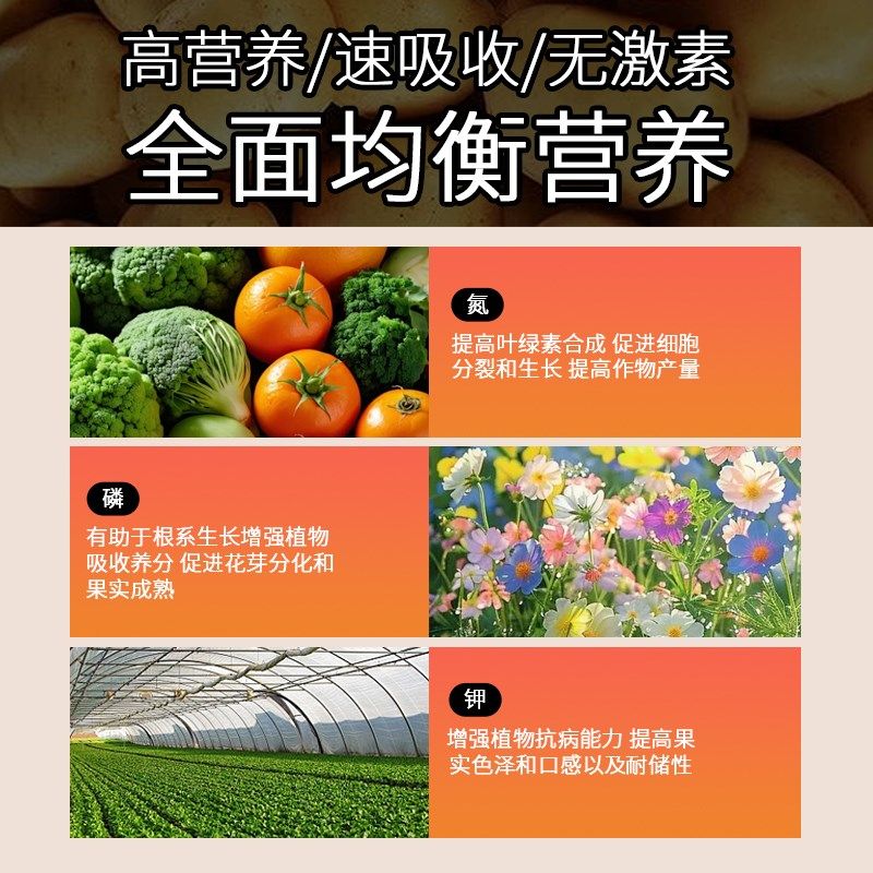 三元复合肥蔬菜农用种菜氮磷钾复合肥料复合肥花肥果树家用通用型,鲜花速递/花卉仿真/绿植园艺,家庭园艺肥料,淘宝优惠券,粉丝福利购,淘宝优惠卷