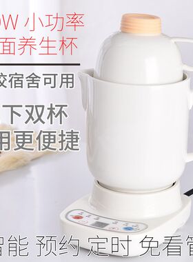 预约定时宿舍小型电炖养s生杯加热保温杯多功能养生壶煮粥小电炉