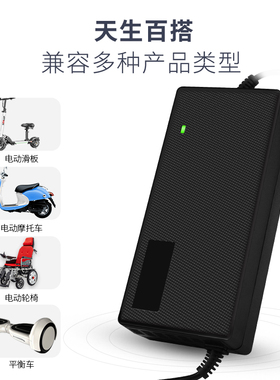 耐佳特锂离子电池电动车自行车充电器24V12AH36V 48V10AH42V2A