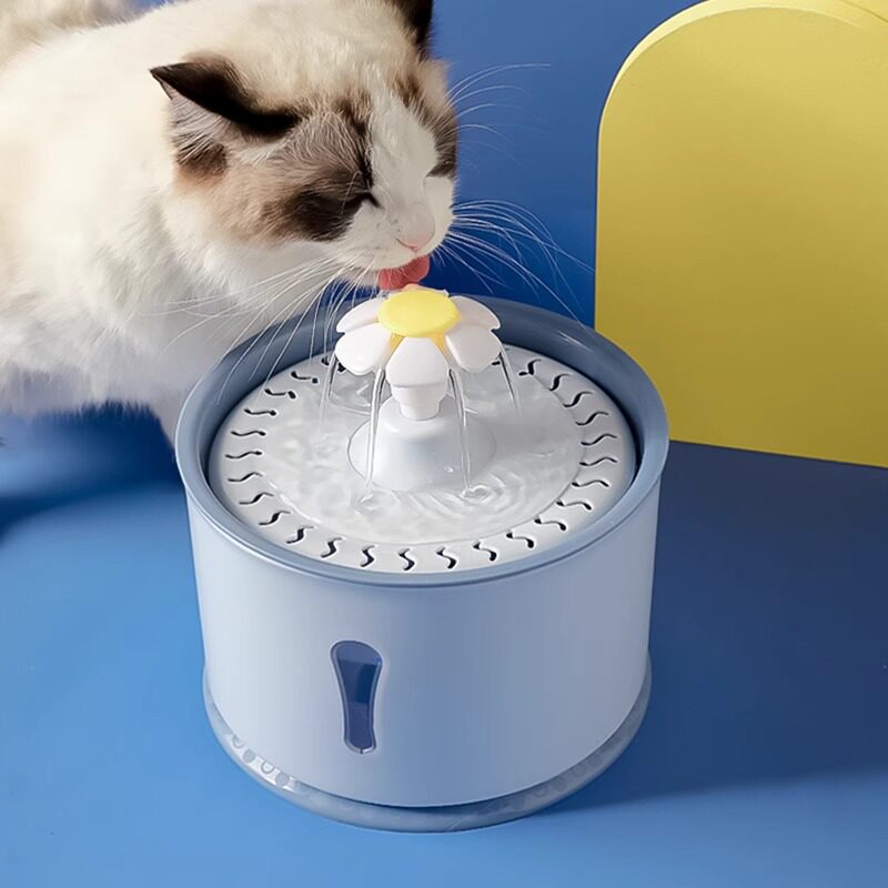 猫咪饮水机自动循环流动宠物饮水D器狗狗喂水器不湿嘴猫喝水用品