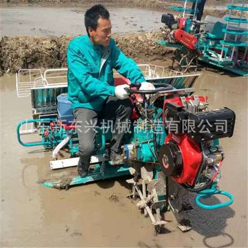 水稻秧苗种植机 水稻插秧机 四行六行小型栽苗机