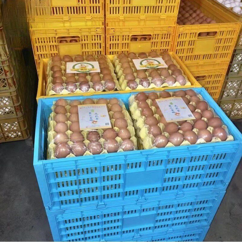 鸡蛋筐塑料周转箱可折叠24t0枚30斤鸡蛋框物流运输防摔防震鸡蛋箱