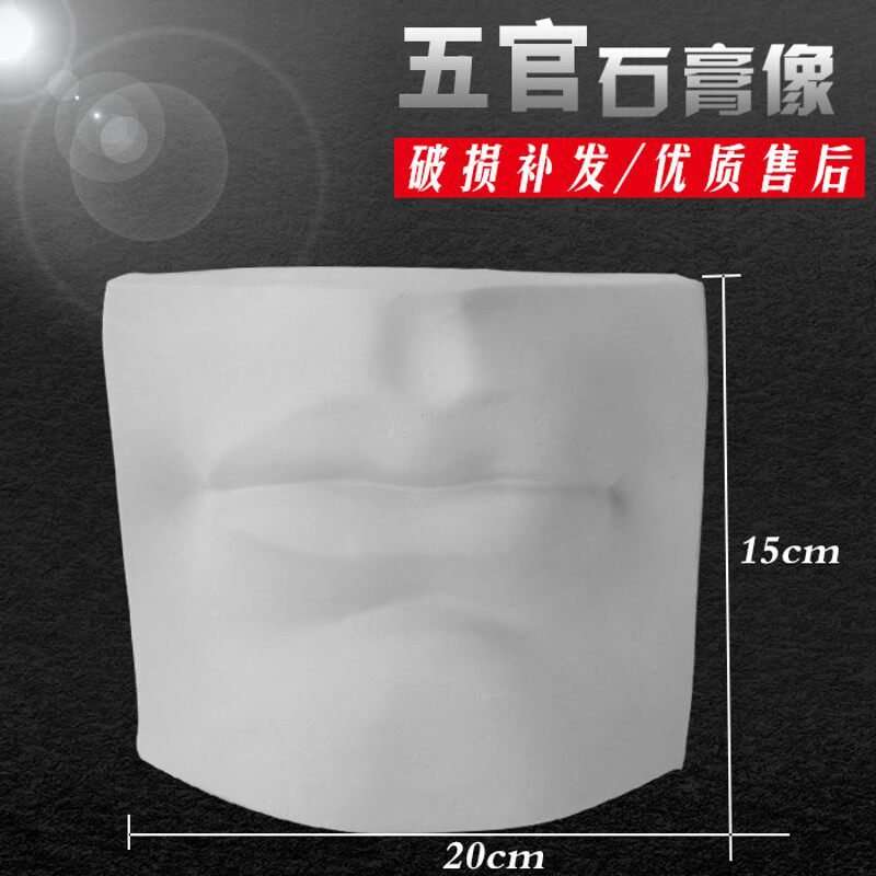 绘岳美术石膏人物头像基础造型五官实面石膏像素描器材眼耳嘴鼻