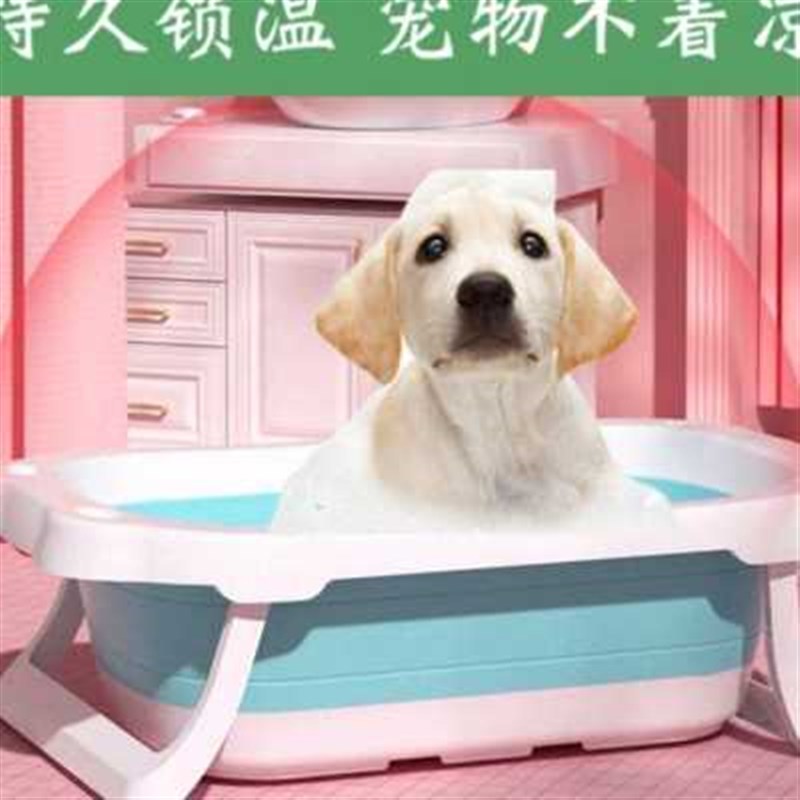 宠物洗澡池狗狗猫咪可折叠洗澡盆沐浴桶泳池小型犬缸洗澡桶