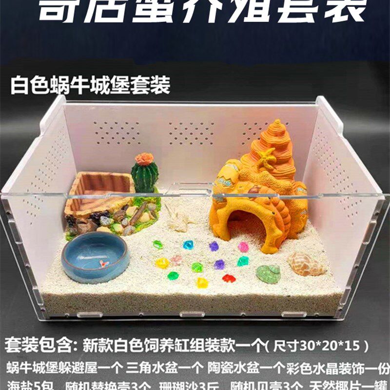 寄居蟹新手儿童套装 草莓 短腕 深紫 灰白寄居蟹 主题套装