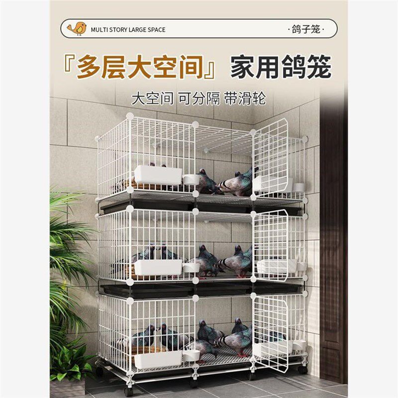 鸽子笼家用特大号养鸽子笼巢箱新型养殖柯尔鸭配对笼鸽舍鸽笼