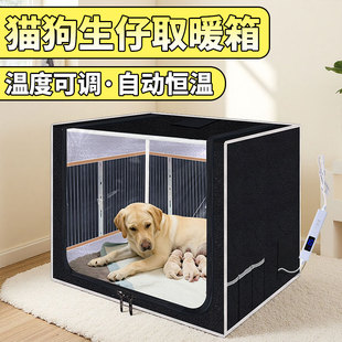 FISH猫咪狗狗取暖器保温宠物加热灯保暖灯控温蜜袋鼯过冬神器