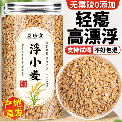 正宗浮小麦中药材旗舰店高上浮率