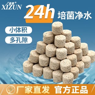 喜尊迷你柱滤材鱼缸用硝化培养屋水质净化过滤材料小鹏说水族
