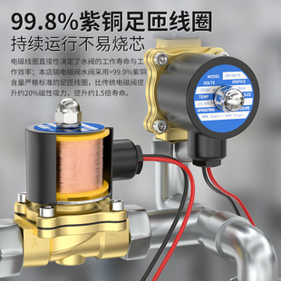 电磁水阀常闭2W不锈钢开关控制阀2分4分6分1寸2寸气阀24V开关阀