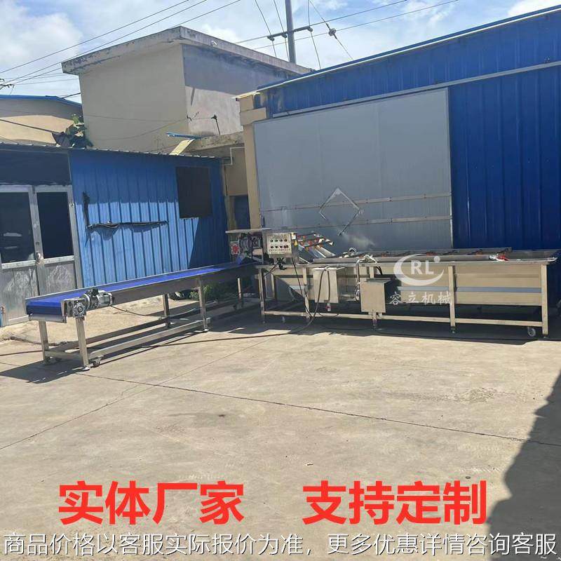 喷淋式斑斓叶清洗机 鼓泡式板蓝根桑叶清洗去杂机 气泡桃胶清洗机,清洗/食品/商业设备,果蔬加工设备,淘宝优惠券,粉丝福利购,淘宝优惠卷