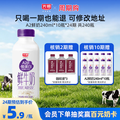 光明A2β酪蛋白240ml*10瓶