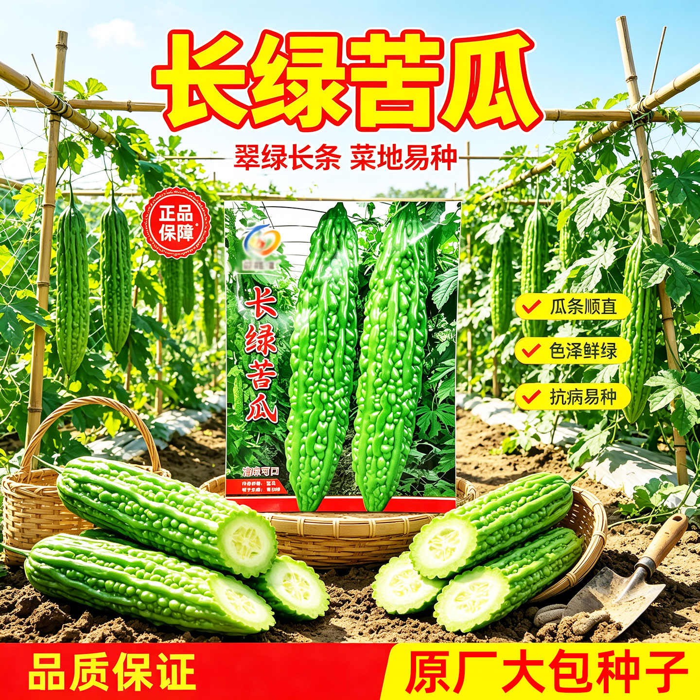 苦瓜种子脆嫩长绿青皮苦瓜特长庭院爬藤翠绿肉厚春季蔬菜种籽绿色