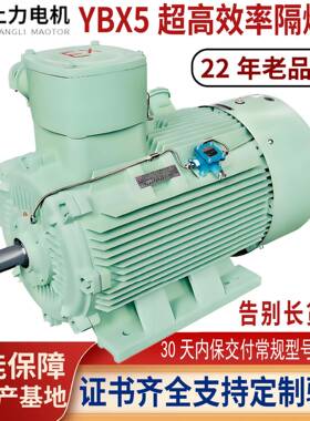 YBX5-355M2-2250W防爆电机防爆证齐全替代YB2老电机节能高